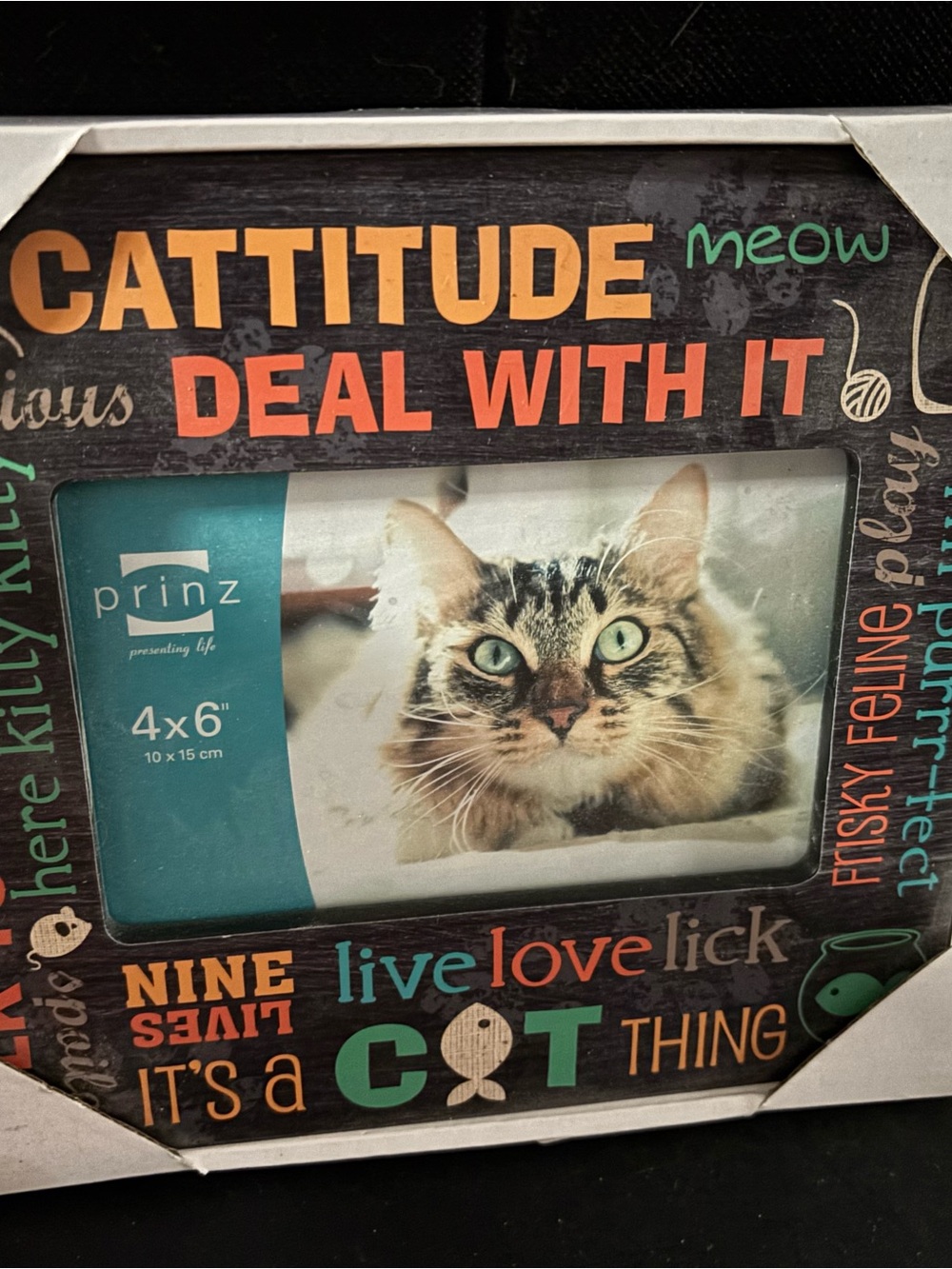Cat Picture Frame
